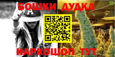 СК Пугачёв