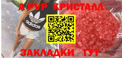 СК Пугачёв