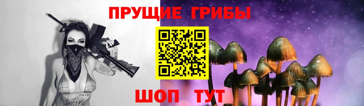Галлюциногенные грибы Psilocybe  Псилоцибиновые грибы GOLDEN TEACHER  Вход с VPN  Тавда 
